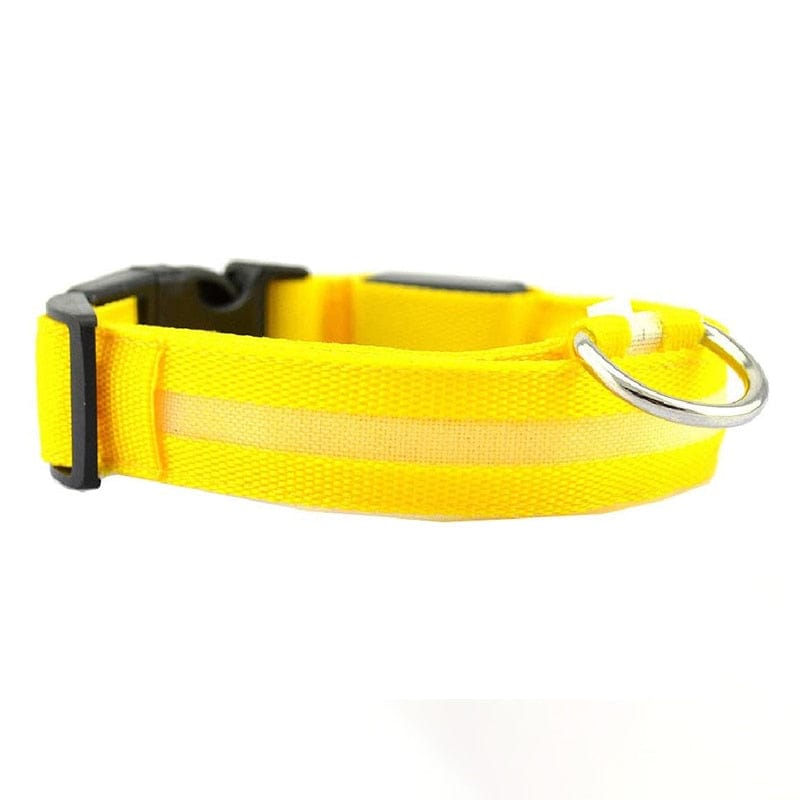 LumiPup™ LED Dog Collar - JHR