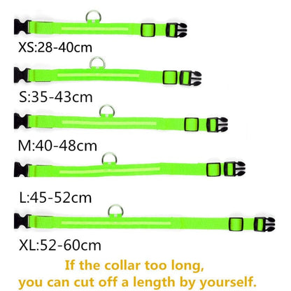 LumiPup™ LED Dog Collar - JHR