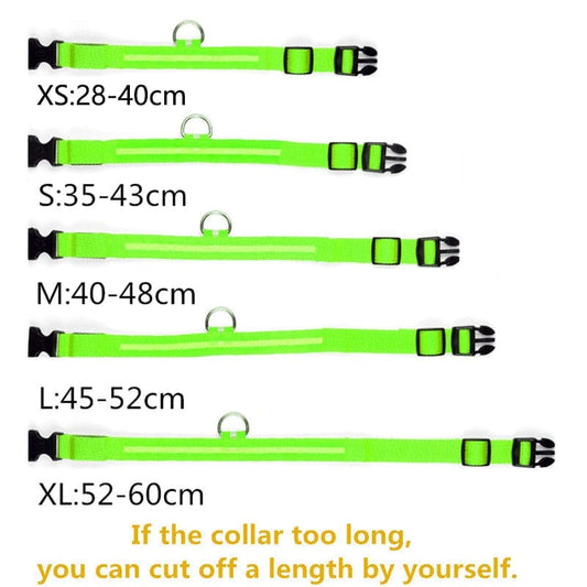 LumiPup⢠LED Dog Collar - JHR